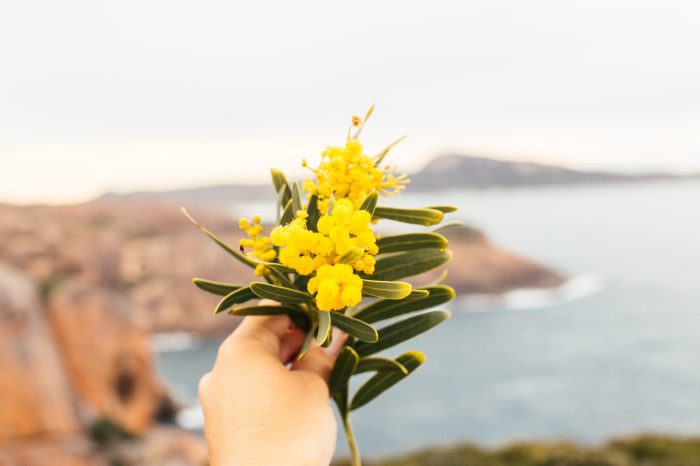 Mindful Lifestyle Trends For Intentional Living